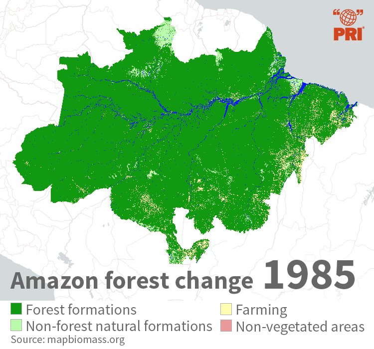 The Amazon Used To Be A Hedge Against Climate Change Those